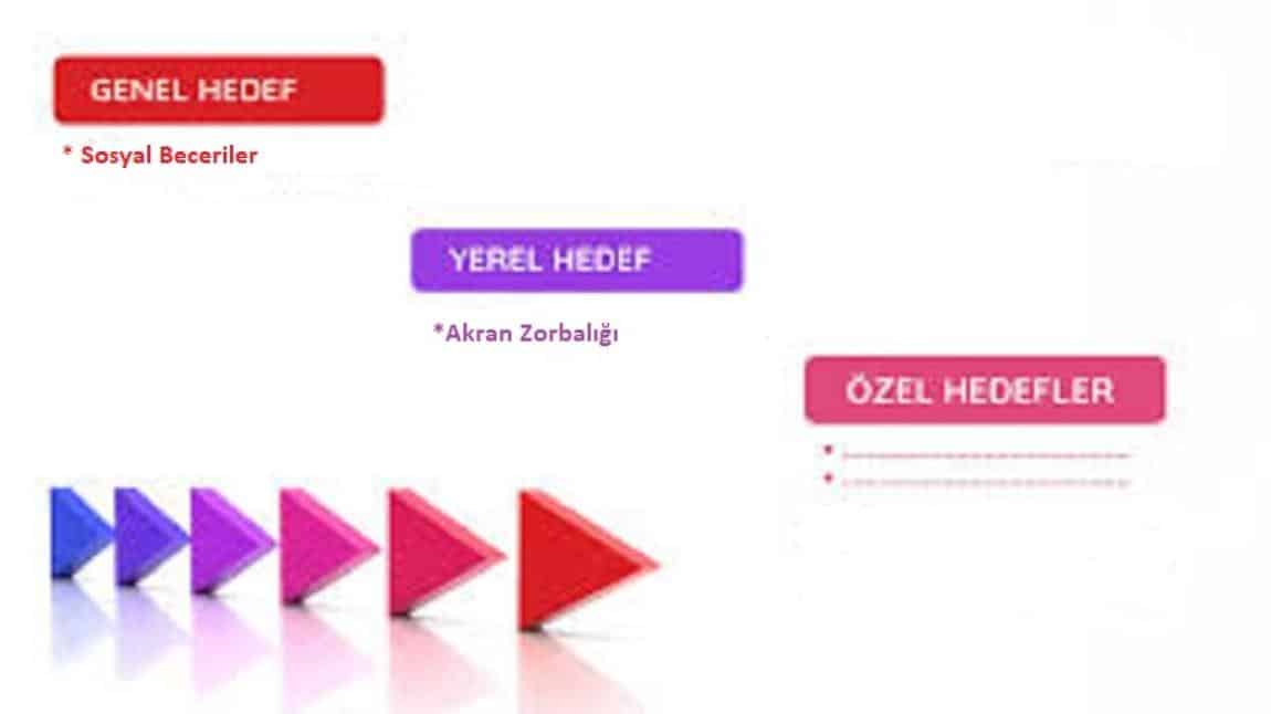 2024-2025 Rehberlik ve Psikolojik Danışma Hizmetleri Genel ve Yerel Hedefler